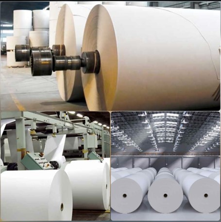 Paper Roll
